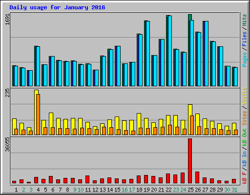 Daily usage for January 2016