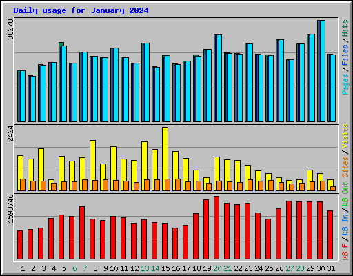 Daily usage for January 2024