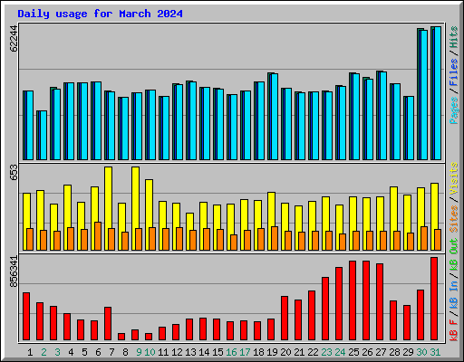 Daily usage for March 2024