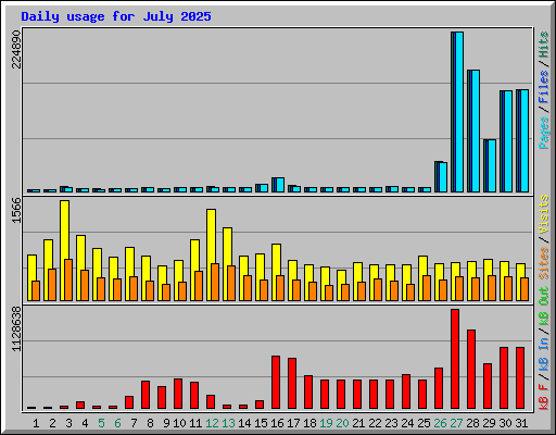 Daily usage for July 2025