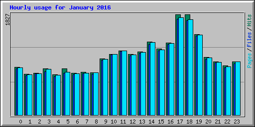 Hourly usage for January 2016