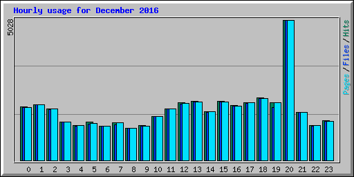 Hourly usage for December 2016