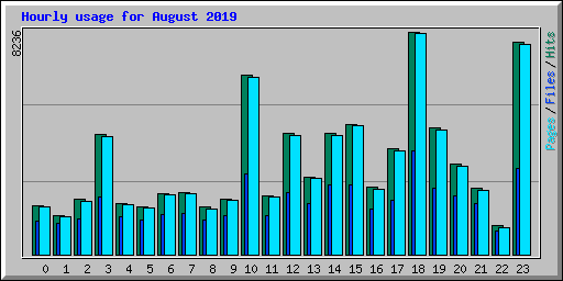 Hourly usage for August 2019