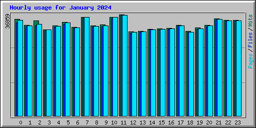 Hourly usage for January 2024