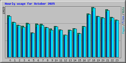 Hourly usage for October 2025