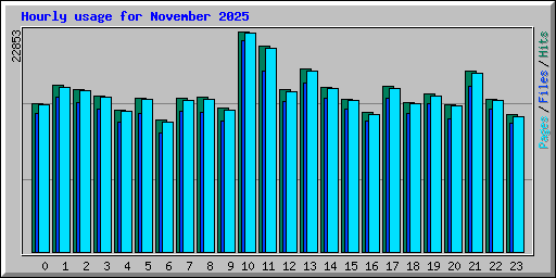 Hourly usage for November 2025