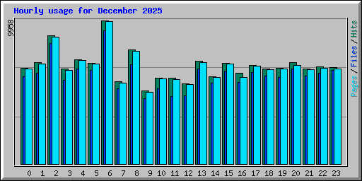 Hourly usage for December 2025