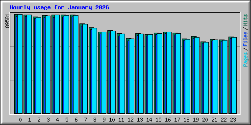 Hourly usage for January 2026