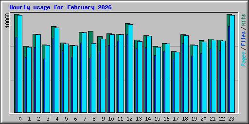 Hourly usage for February 2026