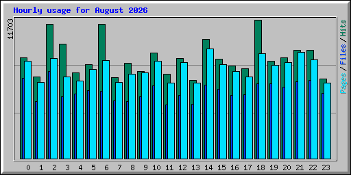 Hourly usage for August 2026